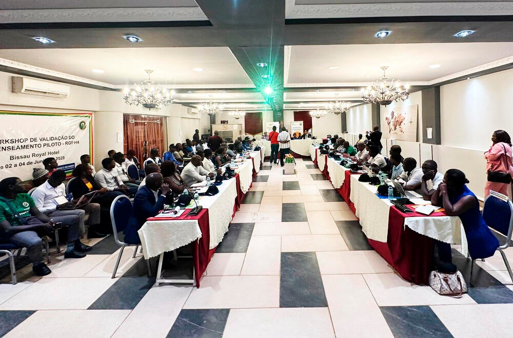Guinea-Bissau Paves Way for Crucial RGPH-4 with Successful Pilot Census Evaluation Workshop